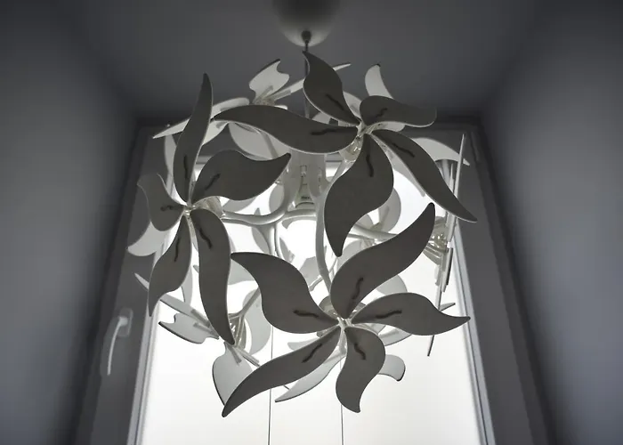 My Way In Azores Horta (Azores)