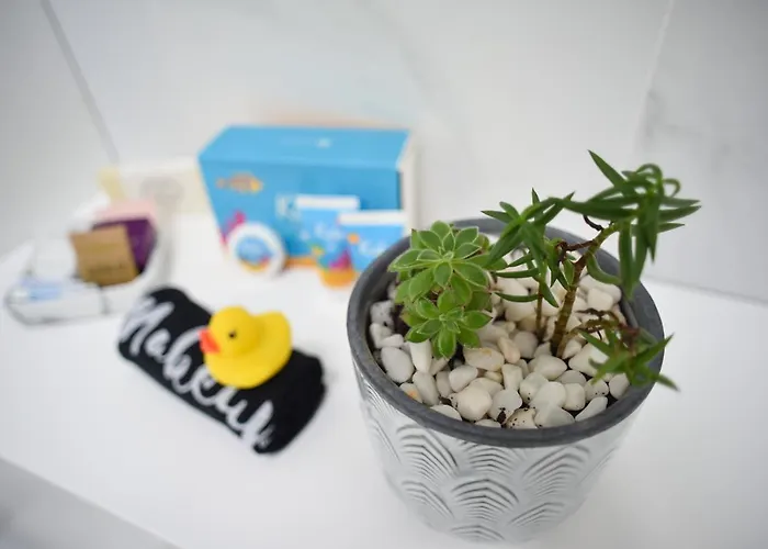 My Way In Azores Apartamento