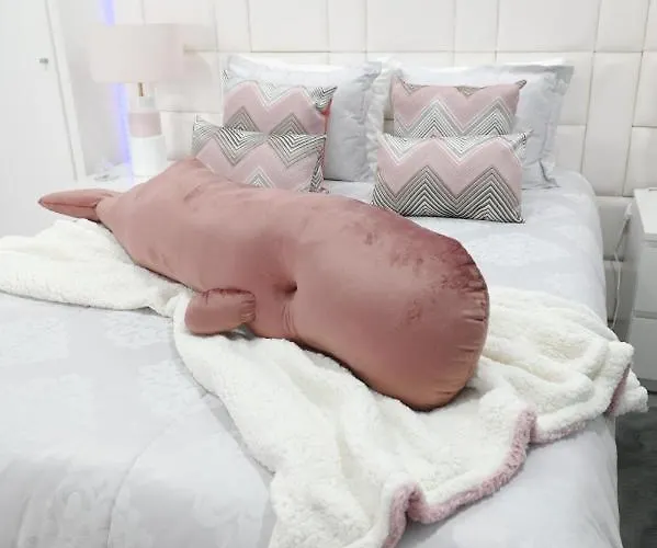 My Way In Azores * Horta (Azores)